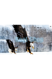 Телевизор Hisense 55