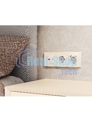 Комплект механизма розетки ALFA Бежевый матовый 2USB A+C 20W (быстрая зарядка) QUANT (AP3310, VM177) MA331010