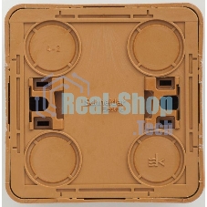 Розетка 1-м ОП Этюд Дача 16А защ. шторки с заземл. бук SchE PA16-004T