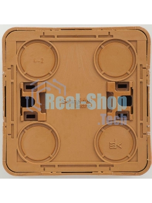 Розетка 1-м ОП Этюд Дача 16А защ. шторки с заземл. бук SchE PA16-004T