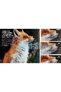 Телевизор Hisense 55