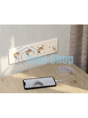 Комплект механизма розетки ALFA Бежевый матовый 2USB A+C 20W (быстрая зарядка) QUANT (AP3310, VM177) MA331010