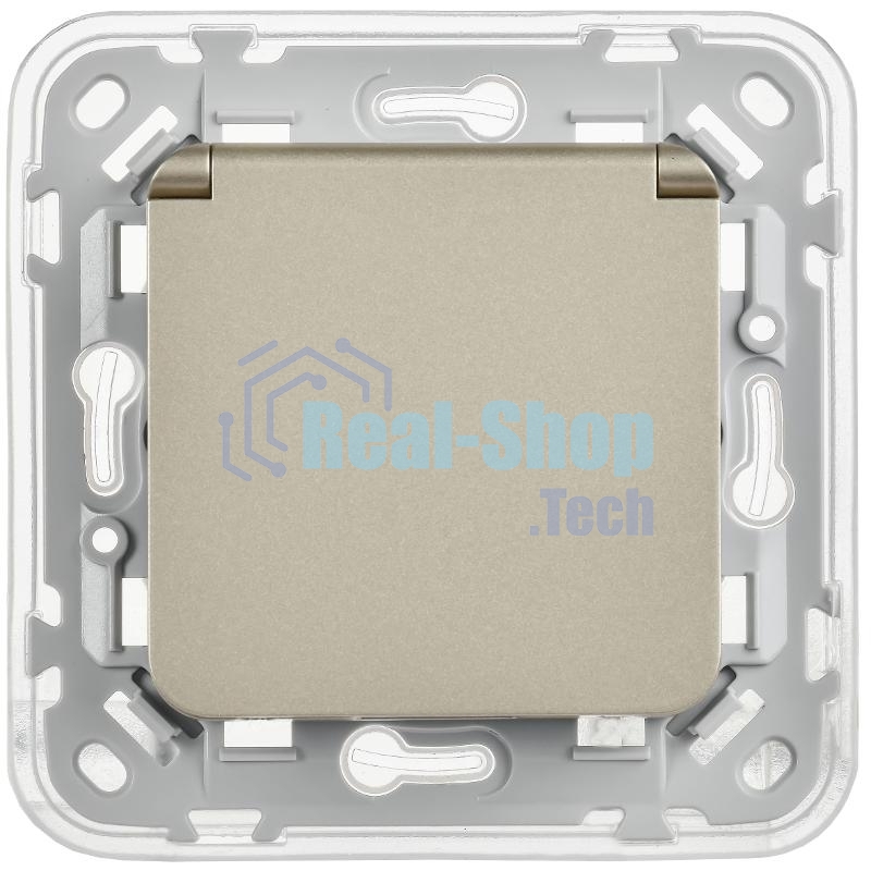 FLITE Розетка с заземлением со шторками с крышкой быстрозажимные клеммы 16А IP44 РСшкр11-1-44-ФлШ шампань | FI-R16-16-1-44-K37 | IEK