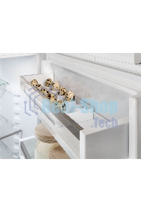 Встраиваемый холодильник Liebherr BUILT-IN ICNSE 5103-20 001