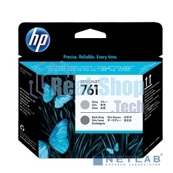 Картридж струйный HP 761 CH647A темно-серый/серый печатающая головка для HP DJ T7100