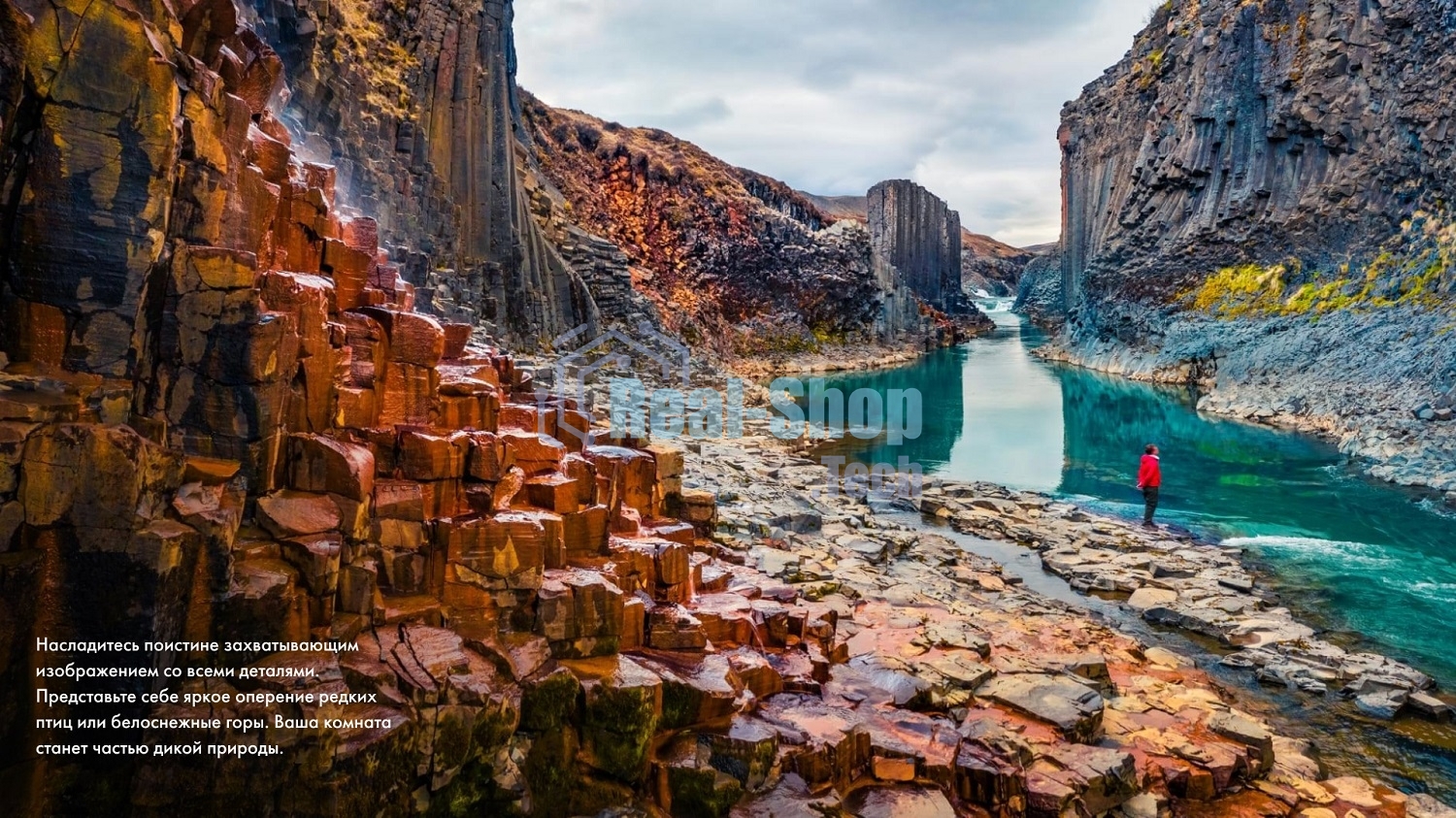 Телевизор Hisense 55