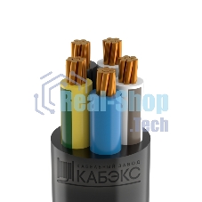 Кабель силовой ВВГнг(А)-LSLTx 5x25 мк(N, PE)-0.66 Кабэкс