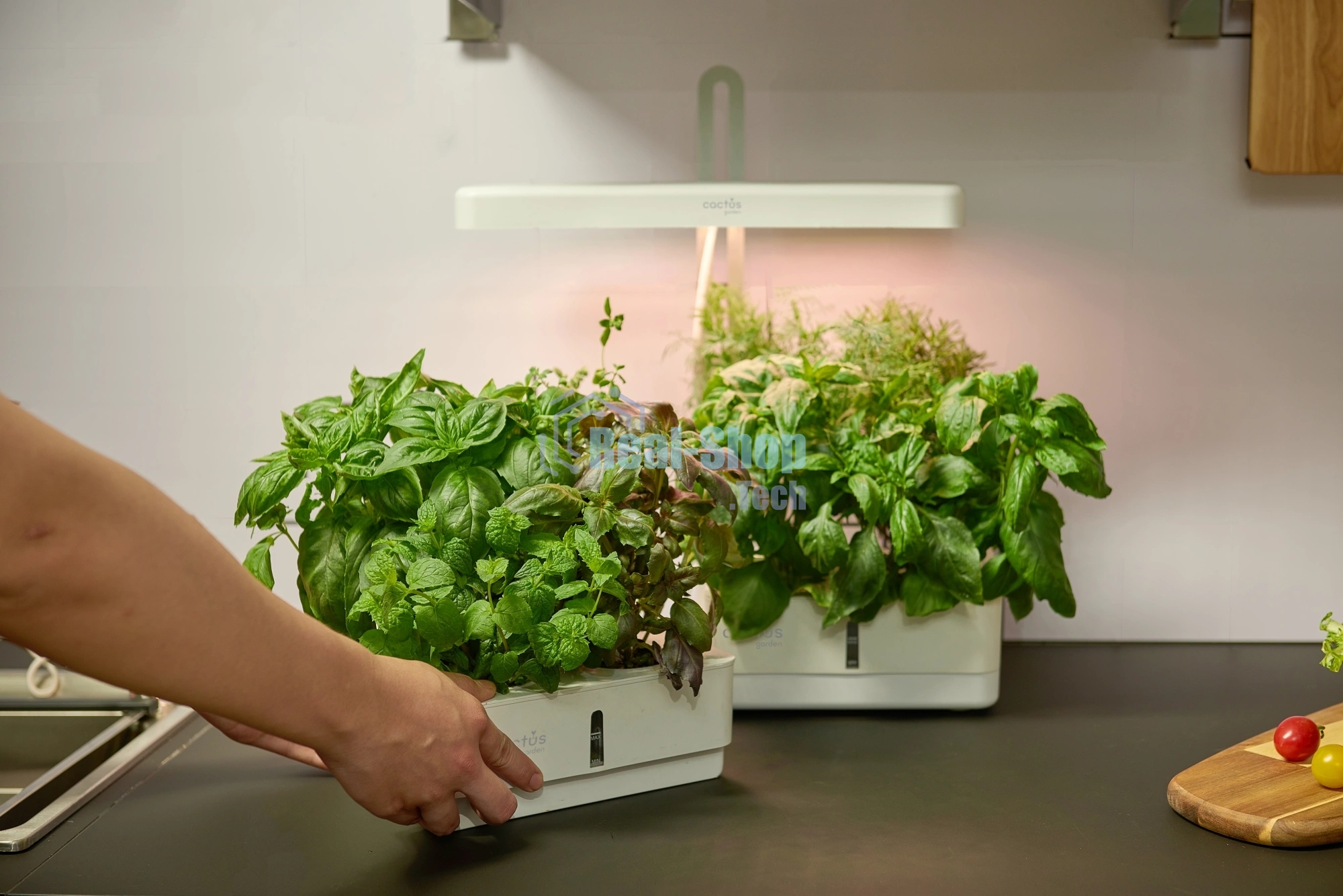 Гидропонная установка Cactus Garden 3л 20Вт белый (CS-LEDPOT-08)