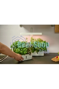 Гидропонная установка Cactus Garden 3л 20Вт белый (CS-LEDPOT-08)