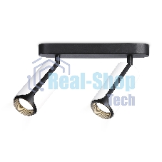Светильник Ambrella light TN51596/2 WH/BK белый/черный GU10/2 260*60*195