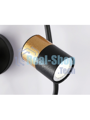Настенный светодиодный светильник со сменной лампой Ambrella light FL51602/3 BK/GD черный/золото 11W 4200K+GU10 424*275*100