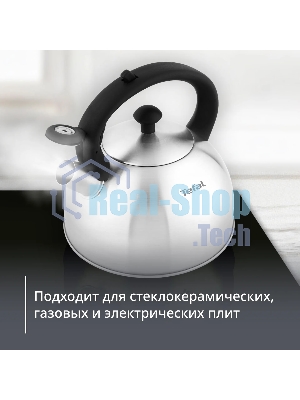 Чайник металлический со свистком Tefal N4210117 3110602015