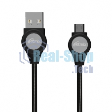 Кабель RITMIX RCC-419 черный