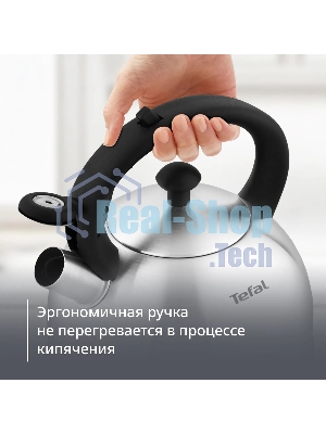 Чайник металлический со свистком Tefal N4210117 3110602015