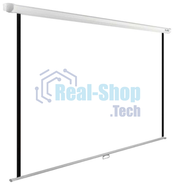 Экран Cactus 220x165 см WallExpert CS-PSWE-220x165-WT 1:1 настенно-потолочный рулонный белый