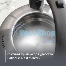 Чайник металлический со свистком Tefal N4210117 3110602015