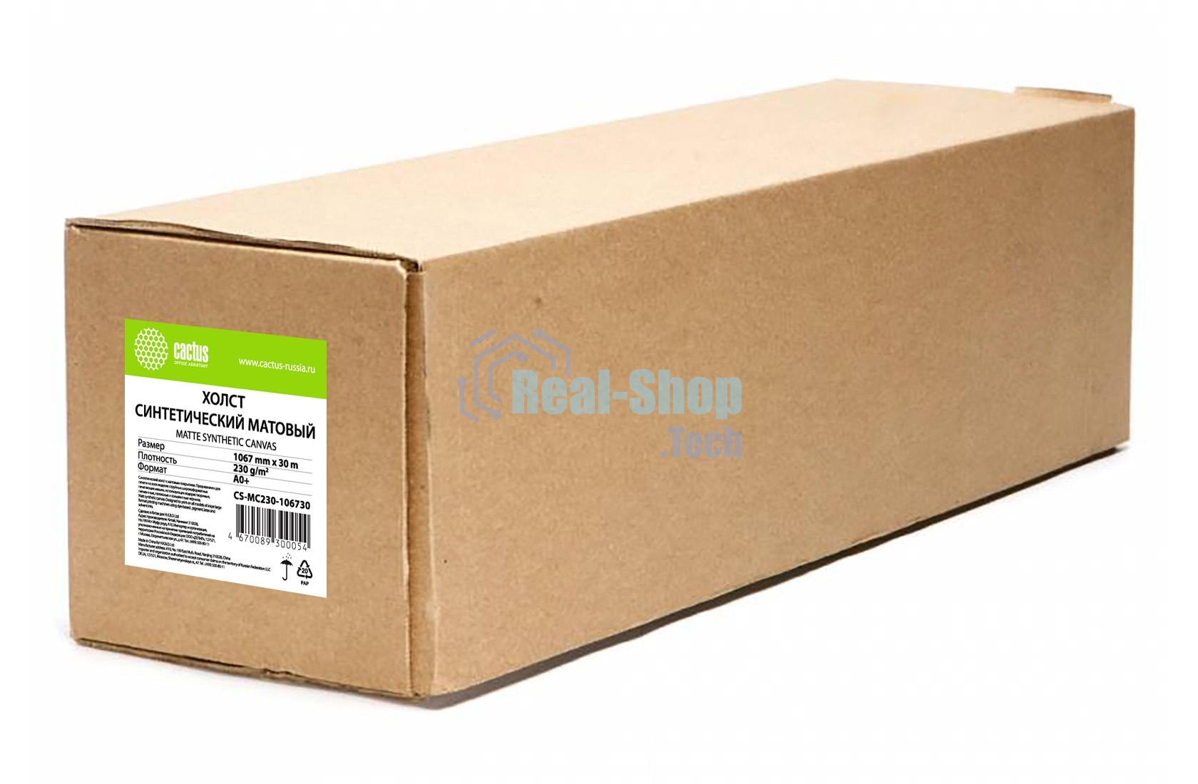 Холст Cactus CS-MC230-106730 42