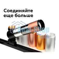 Насадка для корпуса светильника N6124 PYG золото желтое полированное D60*H32mm Out10mm MR16