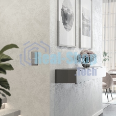 Рамка на 2 поста  AluMax (алюминий) W0023506