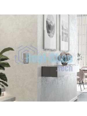 Рамка на 2 поста AluMax (алюминий) W0023506