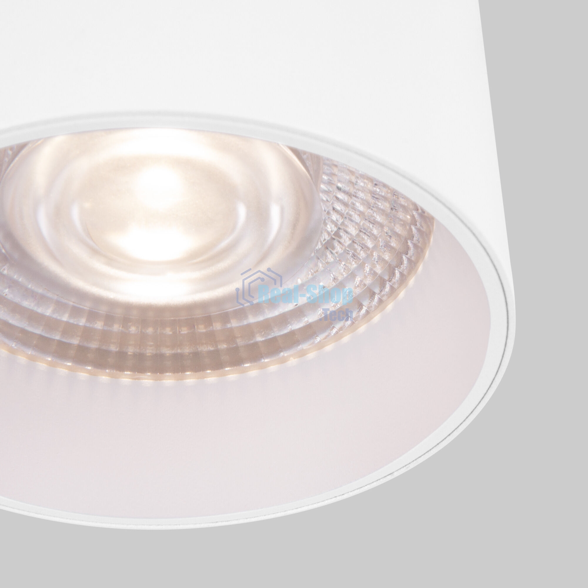 Светильник потолочный светодиодный 25034/LED 10W 4200K белый