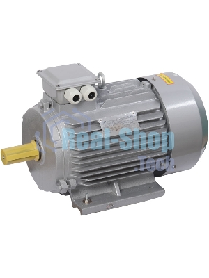 Электрический двигатель IEK ONI 3ф.АИР 132M4 380В 11 кВт 1500 об/мин 1081 DRIVE