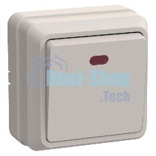 Выключатель 1-кл. ОП ОКТАВА с инд. 10А IP20 ВС20-1-1-ОКм крем. ИЭК EVO11-K33-10-DC