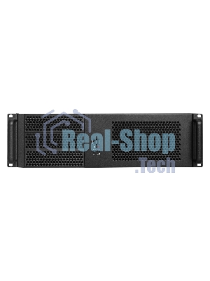 Серверный корпус ExeGate Pro EX293184RUS 3U390-08 (RM 19