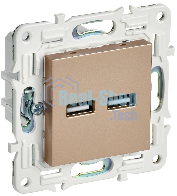SKANDY Розетка USB A+A 3,1А SK-R15Sa песочный | SK-U21-D31-K98 | IEK
