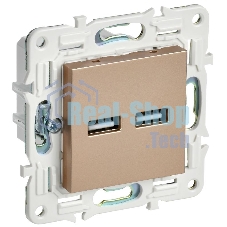 SKANDY Розетка USB A+A 3,1А SK-R15Sa песочный | SK-U21-D31-K98 | IEK