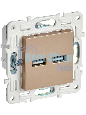 SKANDY Розетка USB A+A 3,1А SK-R15Sa песочный | SK-U21-D31-K98 | IEK