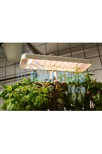 Гидропонная установка Cactus Garden 3л 20Вт белый (CS-LEDPOT-08)