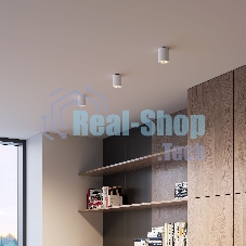 25111/LED 7W 3000K / Светильник потолочный светодиодный / белый