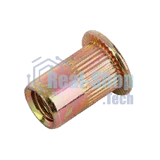 Заклепки резьбовые Denzel стальные, оцинкованные, М6, пластиковый кейс, 70 шт.