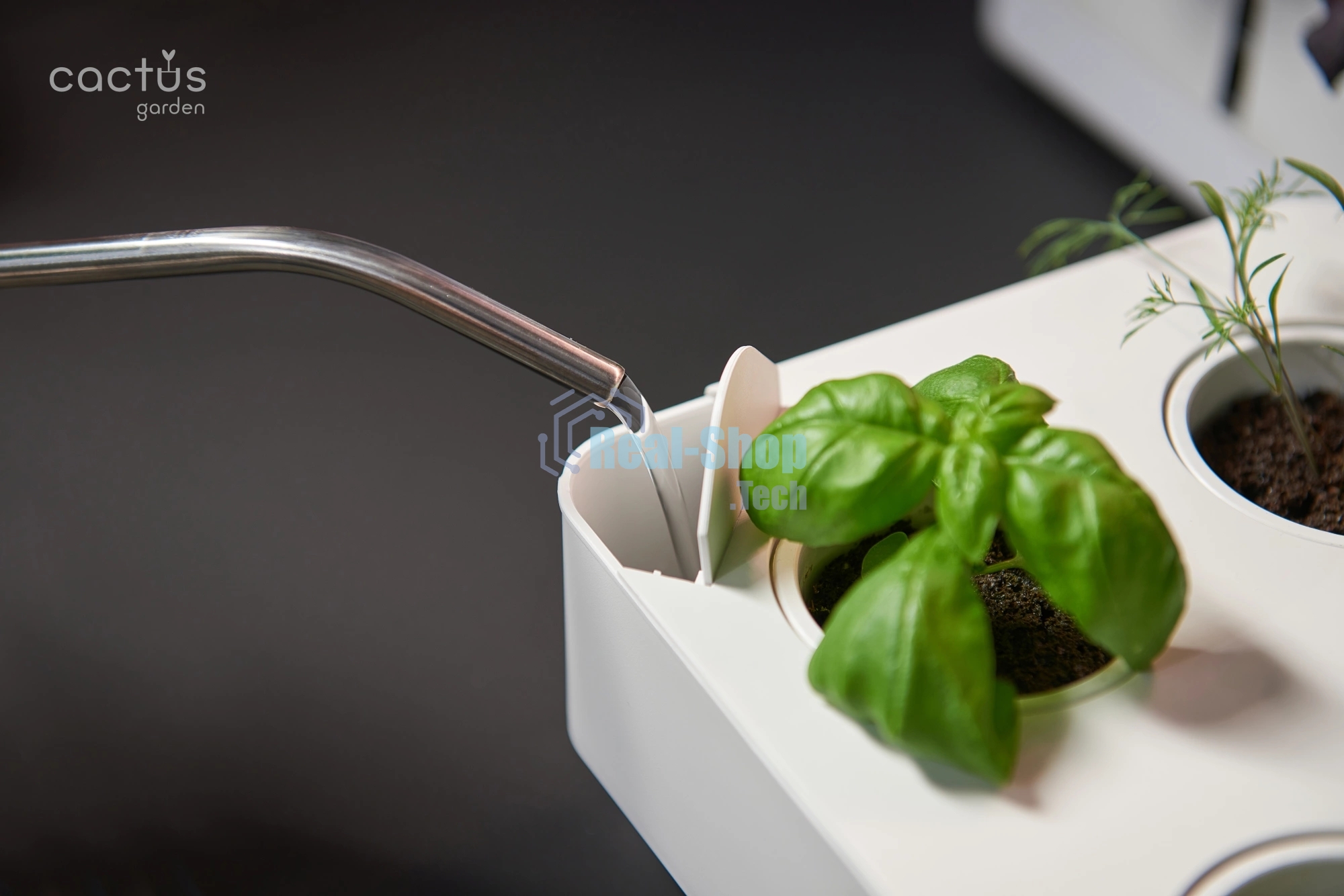 Гидропонная установка Cactus Garden 3л 20Вт белый (CS-LEDPOT-08)