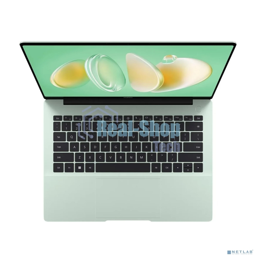Ноутбук Huawei FLMH-X FlemingH-W5651T/14