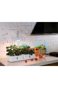 Гидропонная установка Cactus Garden 3л 20Вт белый (CS-LEDPOT-08)