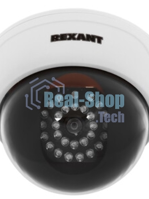 Муляж камеры Rexant внутренний, купольный, белый