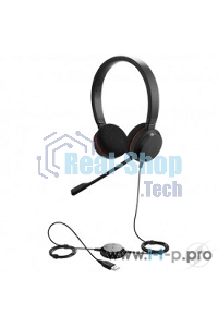 Гарнитура проводная Jabra EVOLVE 20 MS Stereo USB