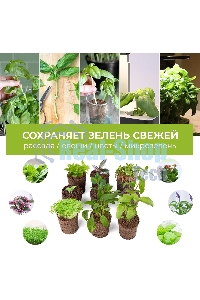 Набор питательных губок Cactus CS-SPONGE-10 для проращивания для CS-LEDPOT-06/08/10 (упак.:10шт) пакет