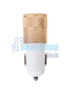 Автозарядка в прикуриватель Rexant 2хUSB (АЗУ) (1000+2100 mA)