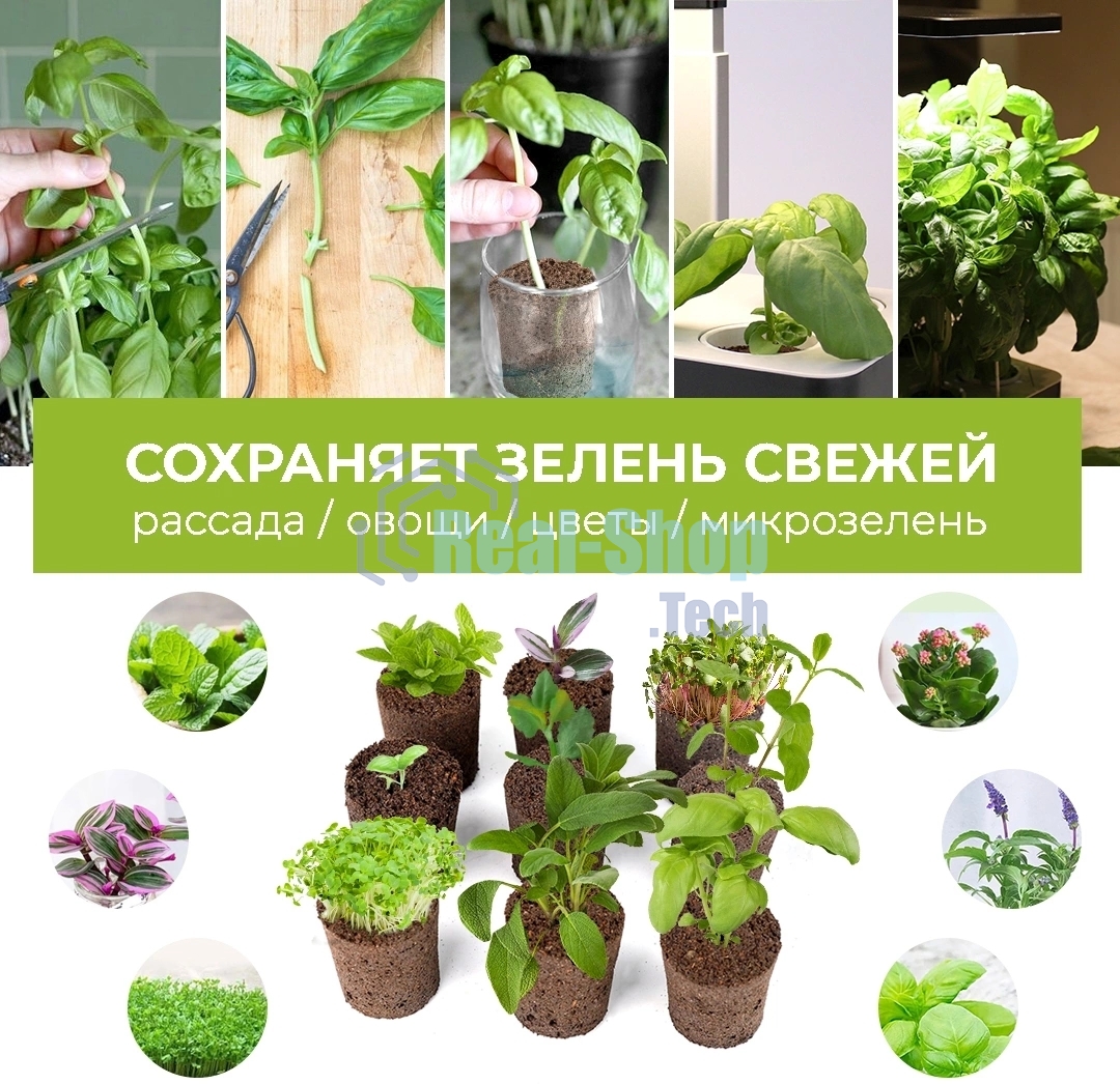 Набор питательных губок Cactus CS-SPONGE-11 для проращивания для CS-LEDPOT-11/SMARTPOT-11 (упак.:11шт) пакет
