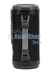 Колонка портативная Digma S-23 черный 18W 1.0 BT 10м 1800mAh (SP2318B)