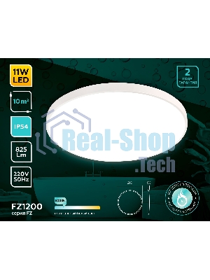 Потолочный светодиодный светильник Ambrella light FZ1200 WH белый IP54 11W 5000K D210*60 (без ПДУ)