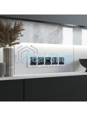 Рамка на 4 поста WERKEL AluMax (алюминий) W0043506
