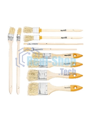 Набор кистей Sparta 10 шт.(плос.3/4