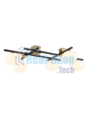 Светильник Ambrella light LH51015/5 BK/BS/FR черный/латунь/белый матовый G9*5 max 28W 800*560*170