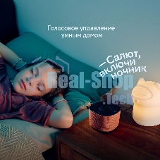 Умная колонка Sber Boom Home SBDV-00171G Салют серый 8W Mono BT/Wi-Fi (без.бат)