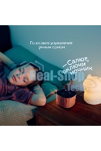 Умная колонка Sber Boom Home SBDV-00171G Салют серый 8W Mono BT/Wi-Fi (без.бат)