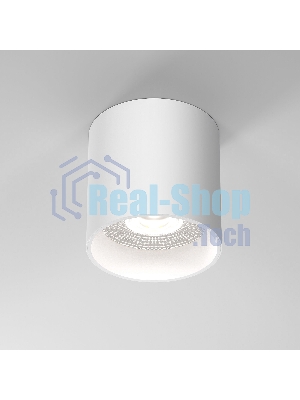 Светильник потолочный светодиодный 25034/LED 10W 4200K белый